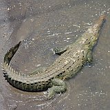 Costa Rica20150410-1938-0077